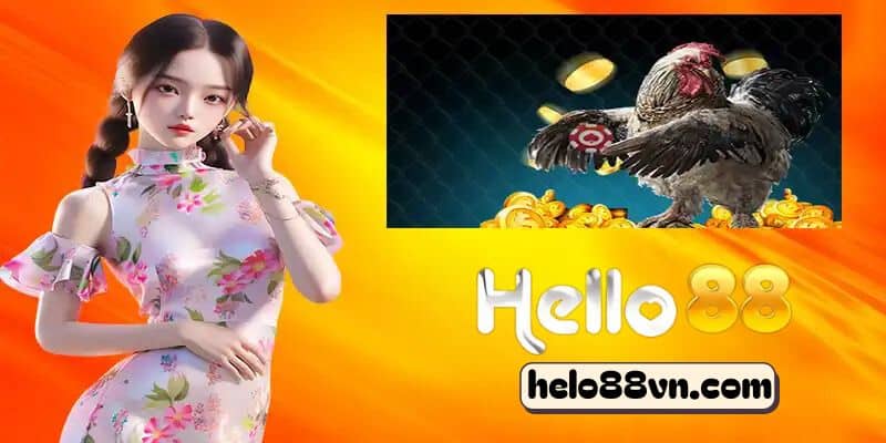 Khái quát về nền tảng đá gà trực tuyến uy tín Hello88